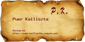 Puer Kalliszta névjegykártya